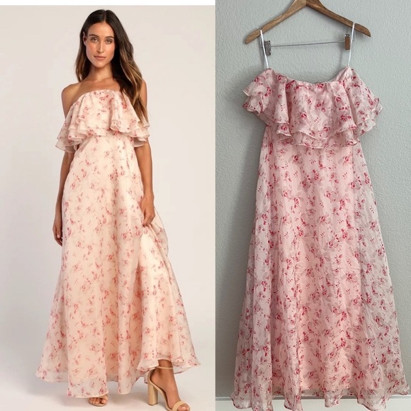 Sweet Passion Blush Pink Floral Print Organza Maxi Dress - Picture 1 of 9